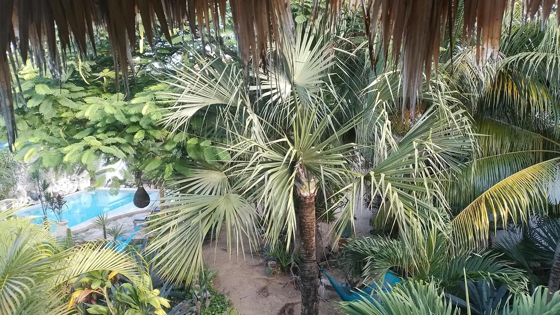 ** 宾馆 图卢姆 Zamunda Garden View酒店 墨西哥