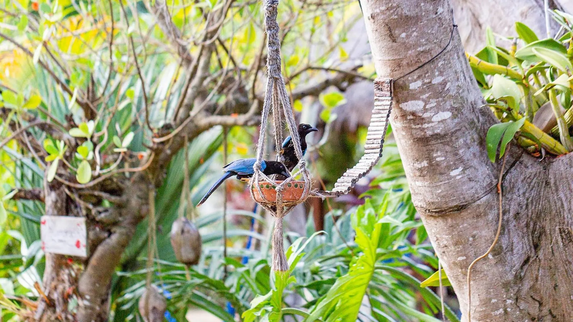 Herberg Zamunda Garden View Hotel Tulum Pueblo